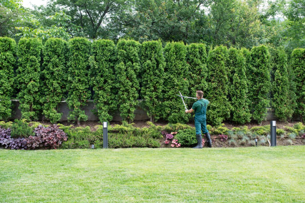 Best Lawn Irrigation Installation and Maintenance  in Cedartown, GA